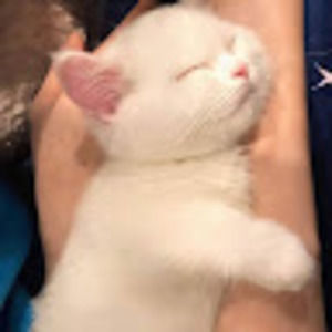 Meet your Posher, Martin